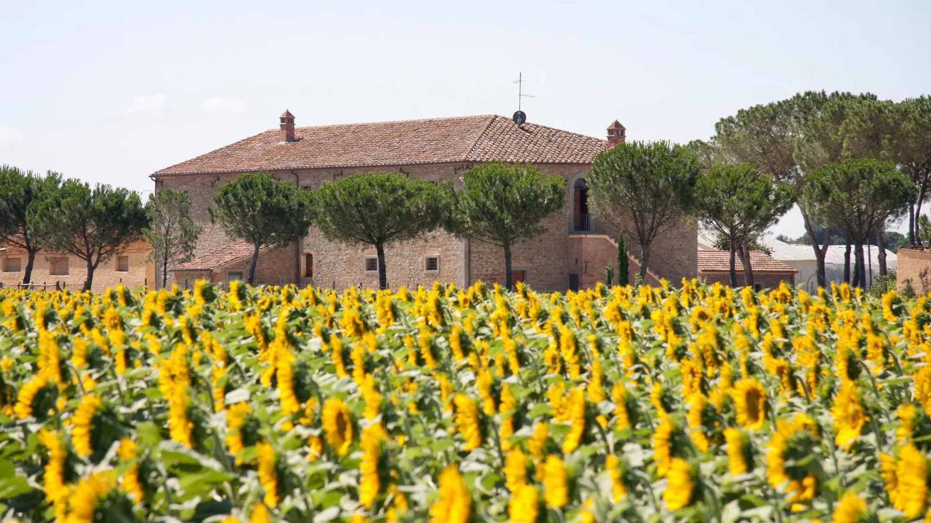 Terra Di Cortona Villa 0*,  Italië