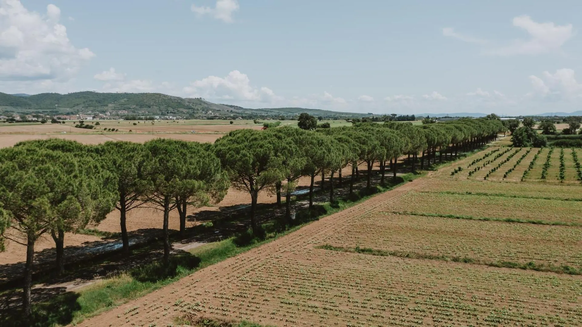 Vakantieboerderij Terra Di Cortona Villa Italië